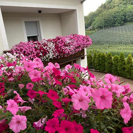 Garni San Paolo Hotel Appiano Sulla Strada Del Vino Exterior foto