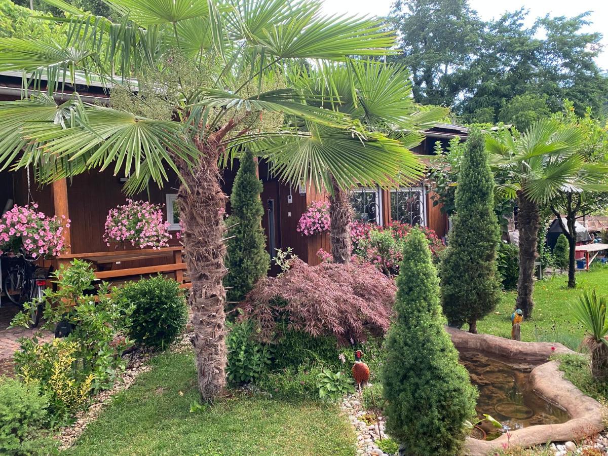 Garni San Paolo Hotel Appiano Sulla Strada Del Vino Exterior foto