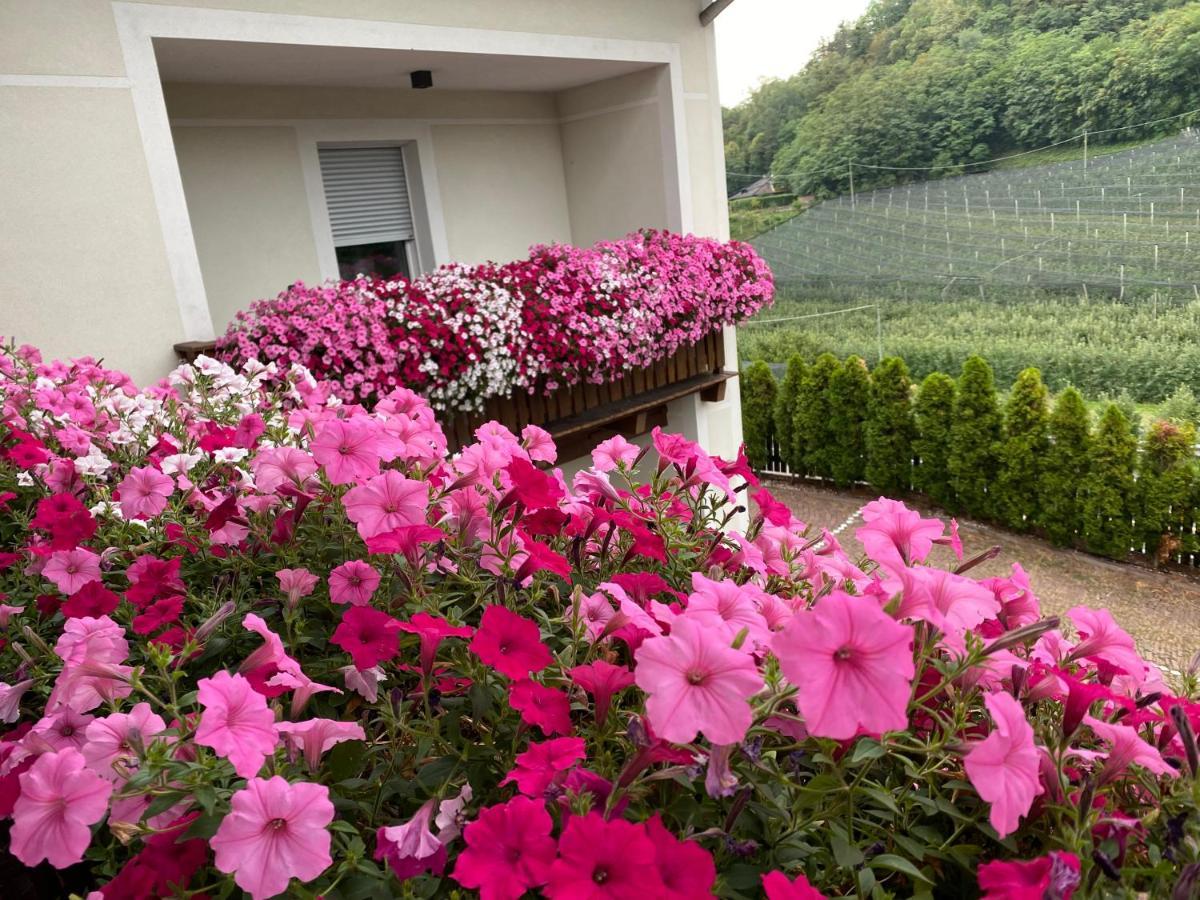 Garni San Paolo Hotel Appiano Sulla Strada Del Vino Exterior foto