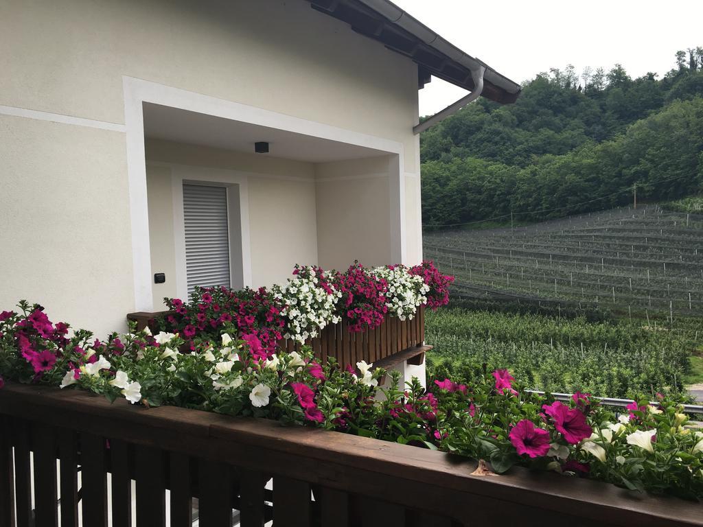 Garni San Paolo Hotel Appiano Sulla Strada Del Vino Exterior foto