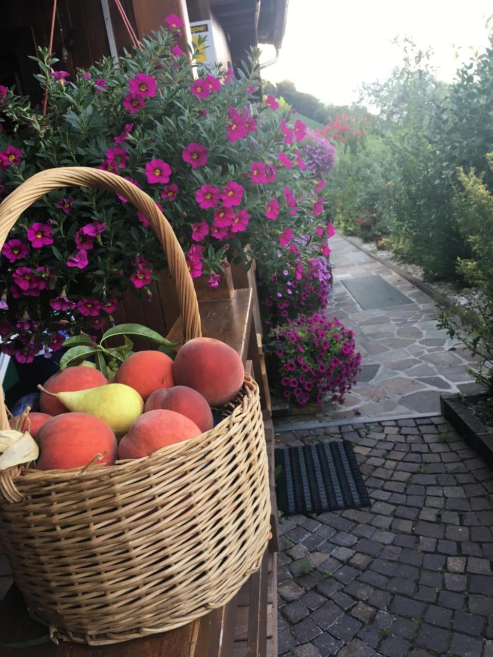 Garni San Paolo Hotel Appiano Sulla Strada Del Vino Exterior foto