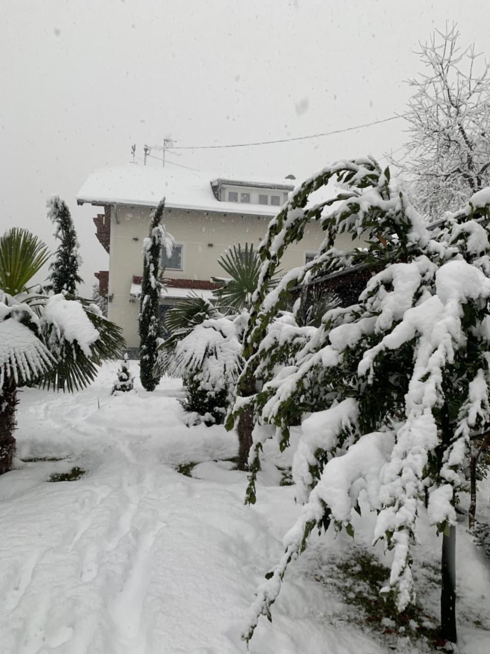 Garni San Paolo Hotel Appiano Sulla Strada Del Vino Exterior foto