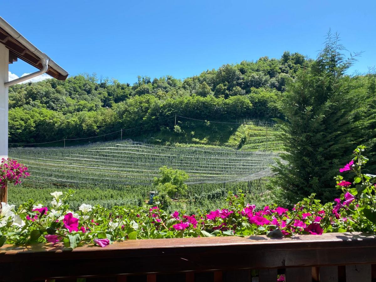 Garni San Paolo Hotel Appiano Sulla Strada Del Vino Exterior foto